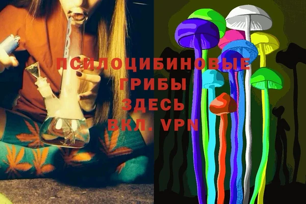 гидропоника Бронницы