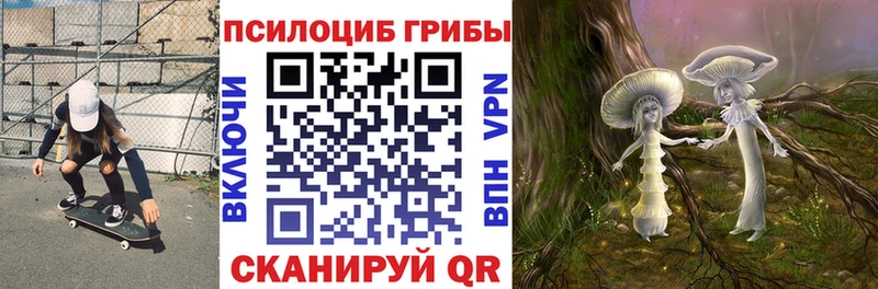Псилоцибиновые грибы Magic Shrooms  Новомичуринск 